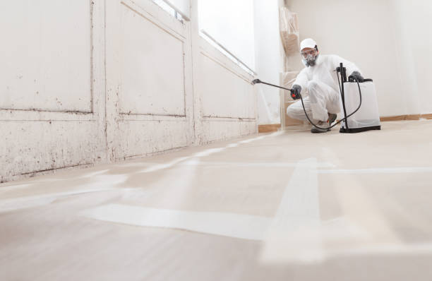 24/7 Emergency Mold Remediation experts in Haddonfield, NJ