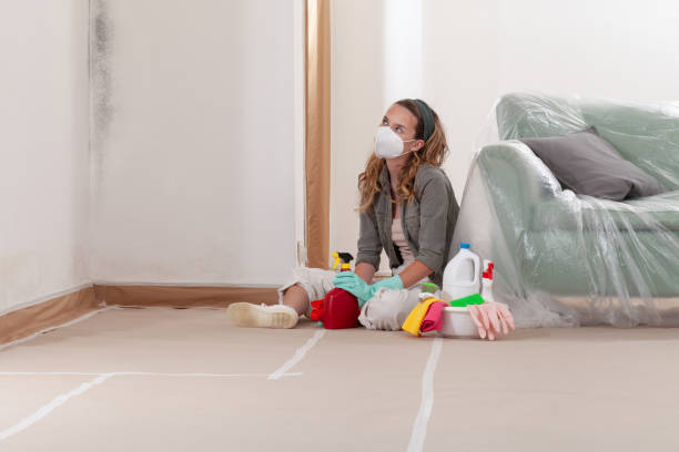 Reliable Mold Remediation contractor in Haddonfield, NJ by Cheap Mold Removal